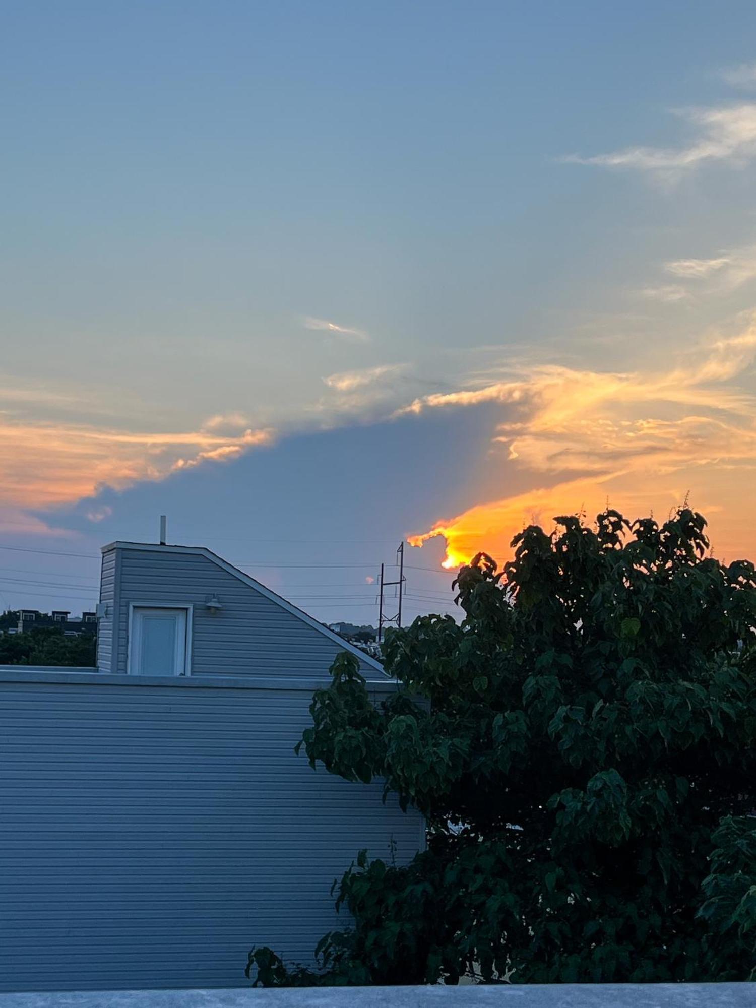 Peaceful Zen Getaway In The City Philadelphia Ngoại thất bức ảnh