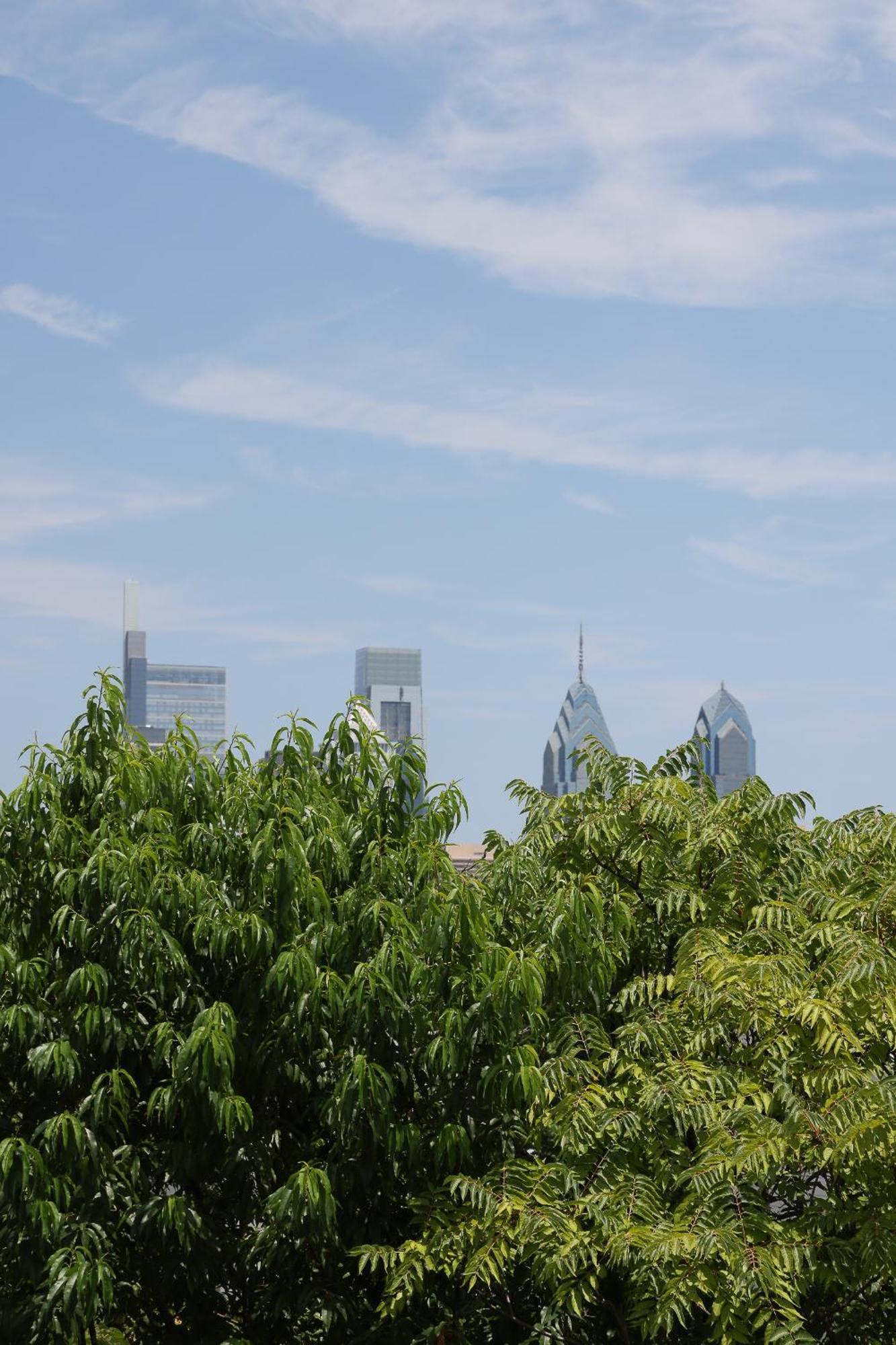 Peaceful Zen Getaway In The City Philadelphia Ngoại thất bức ảnh